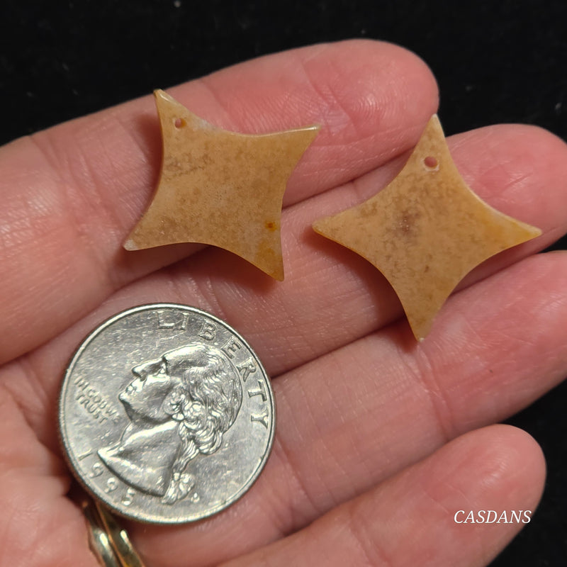 Drilled Coral Fossil Pair