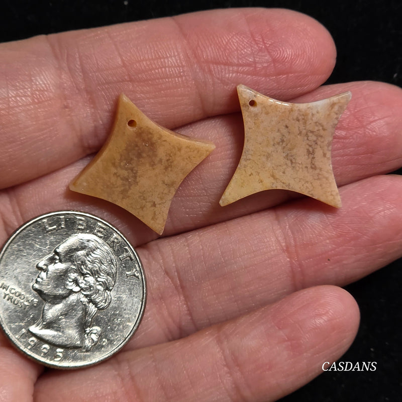 Drilled Coral Fossil Pair