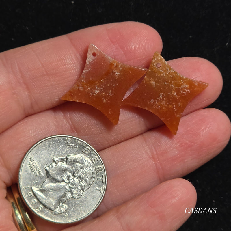 Drilled Coral Fossil Pair