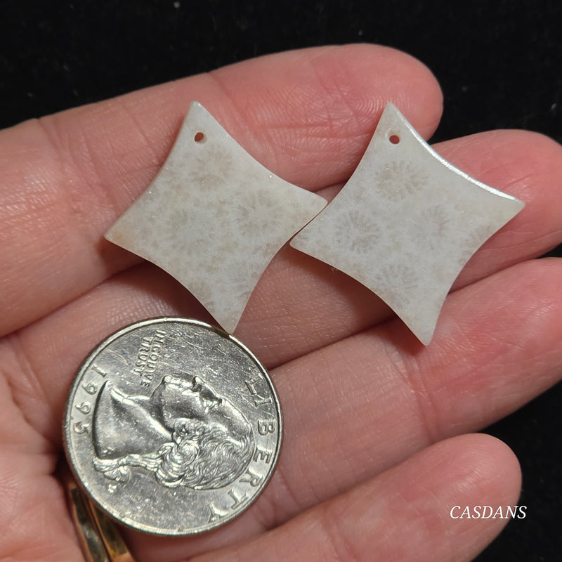 Drilled Coral Fossil Pair