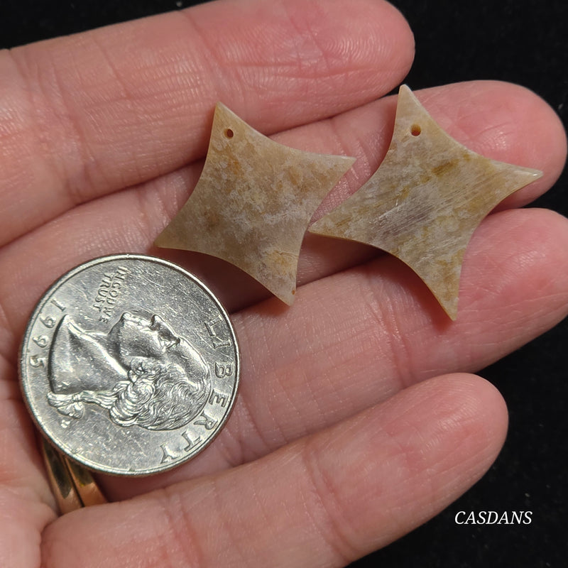 Drilled Coral Fossil Pair