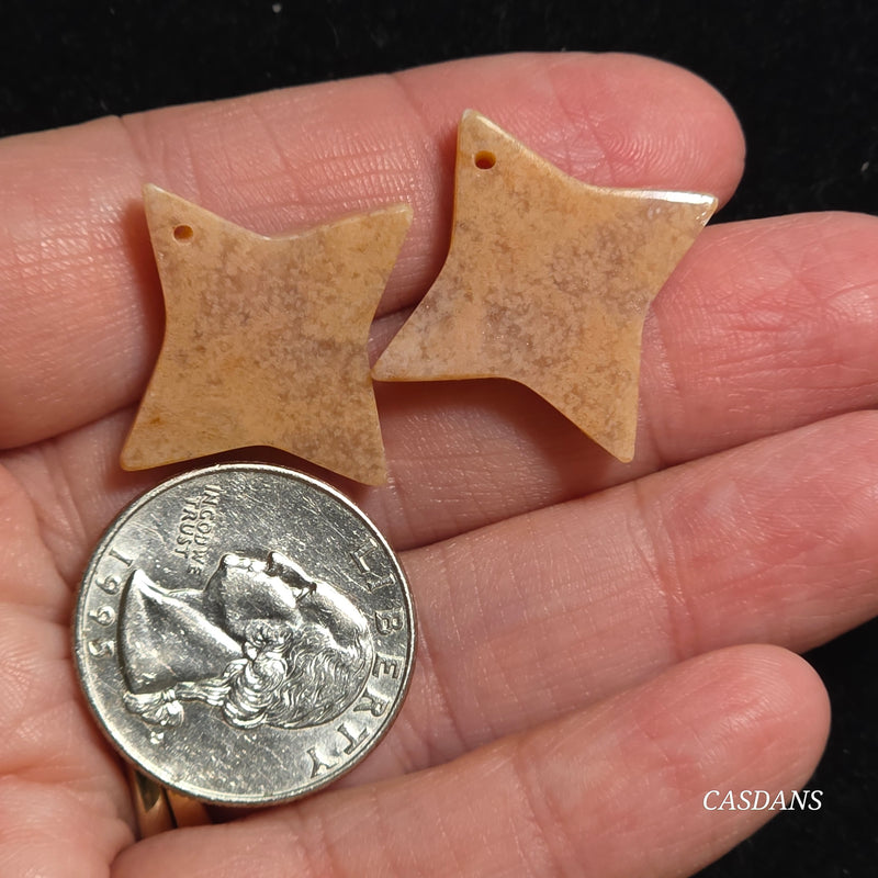 Drilled Coral Fossil Pair