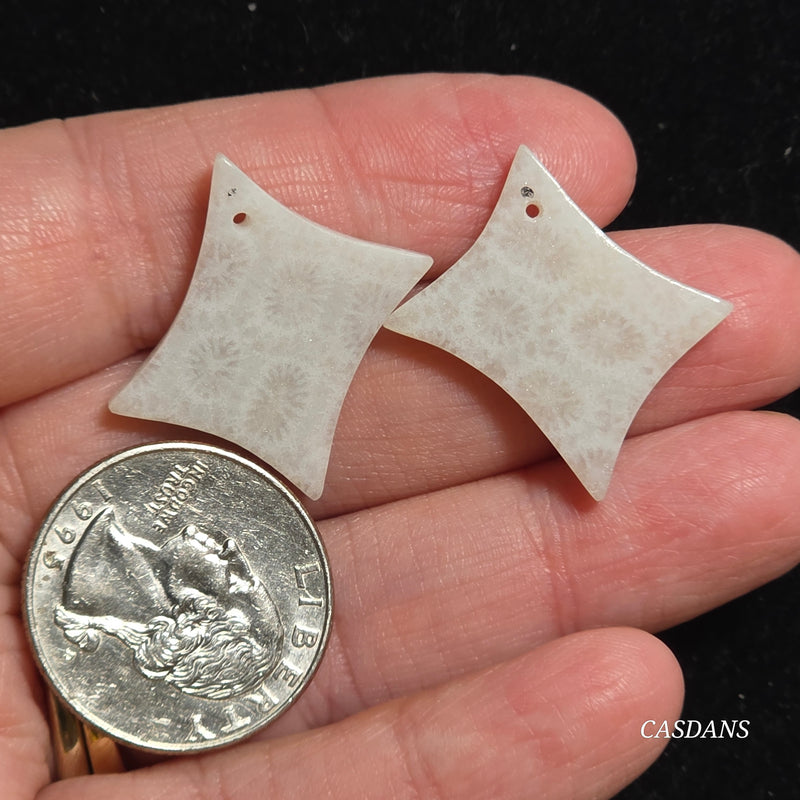 Drilled Coral Fossil Pair