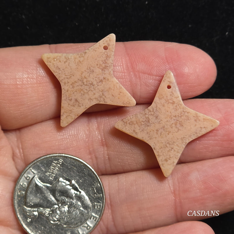 Drilled Coral Fossil Pair
