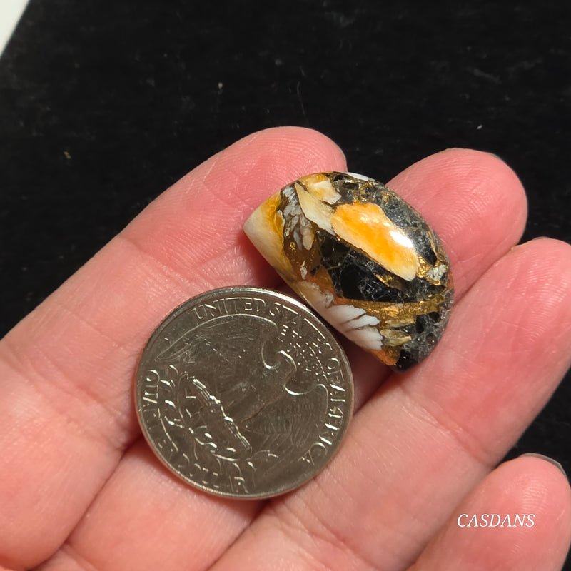 Spiny Oyster Obsidian Bronze Composite Cabochon