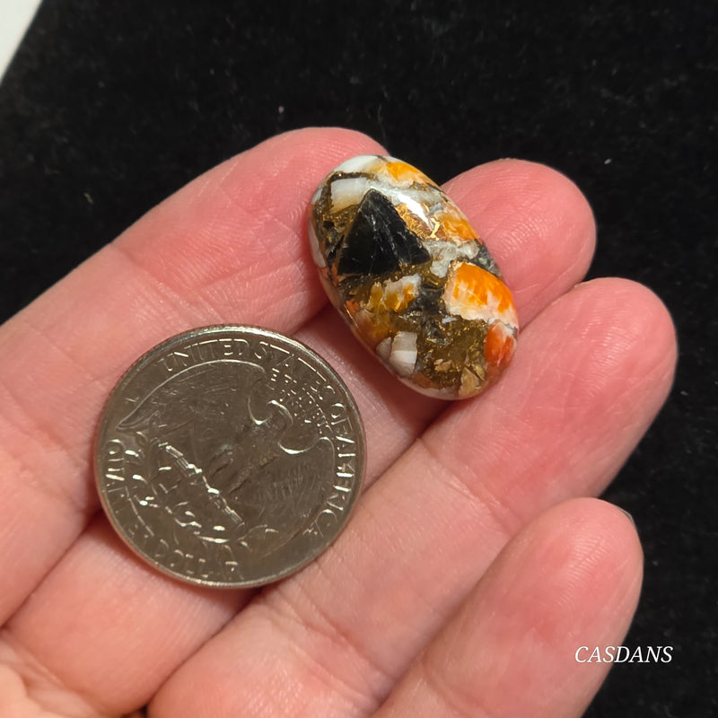 Spiny Oyster Obsidian Bronze Composite Cabochon