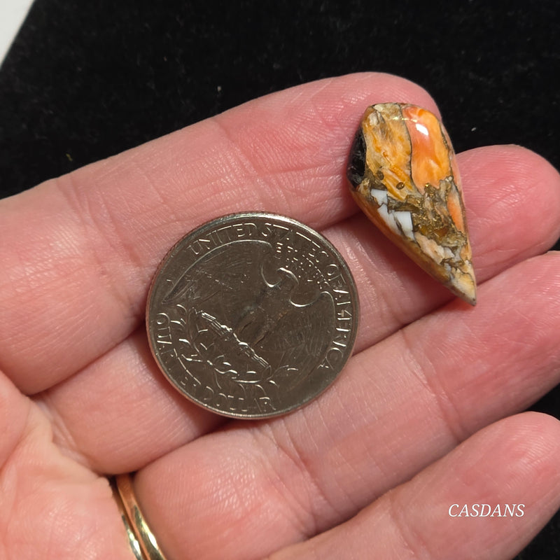Spiny Oyster Obsidian Bronze Composite Cabochon