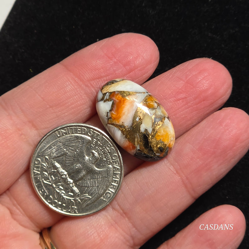 Spiny Oyster Obsidian Bronze Composite Cabochon