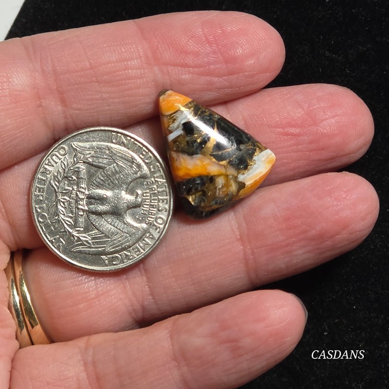 Spiny Oyster Obsidian Bronze Composite Cabochon