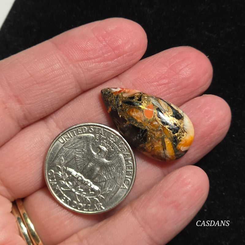 Spiny Oyster Obsidian Bronze Composite Cabochon