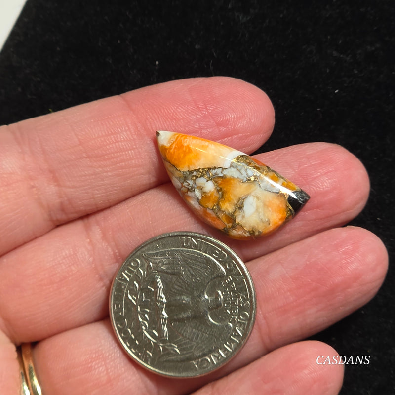 Spiny Oyster Obsidian Bronze Composite Cabochon