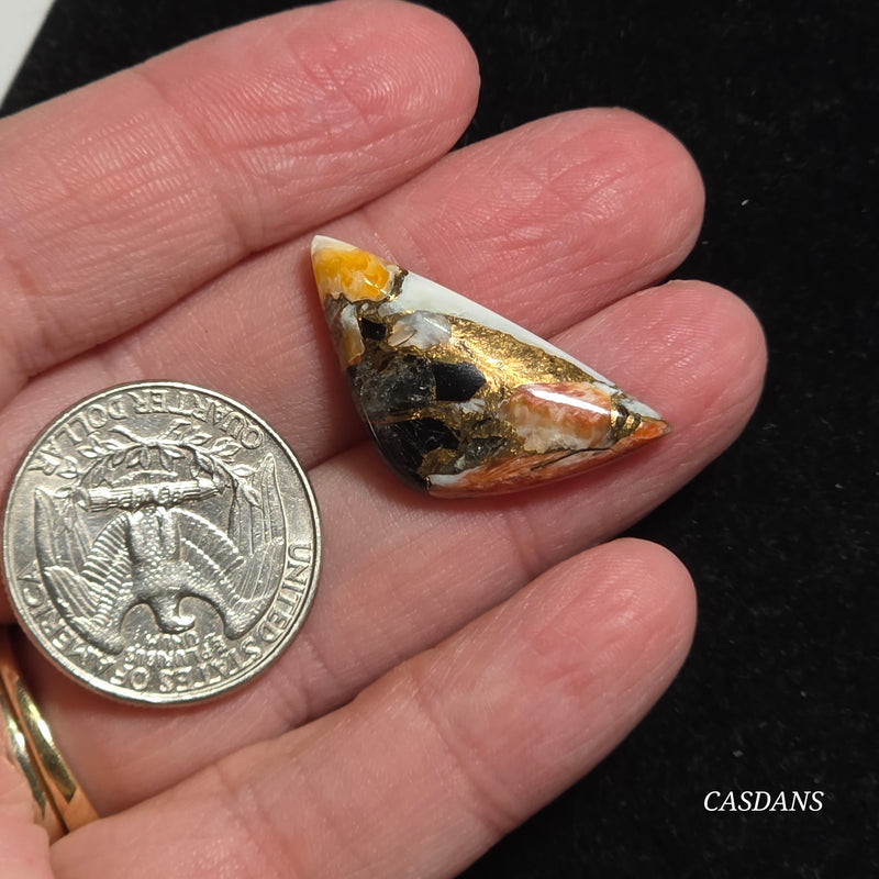 Spiny Oyster Obsidian Bronze Composite Cabochon