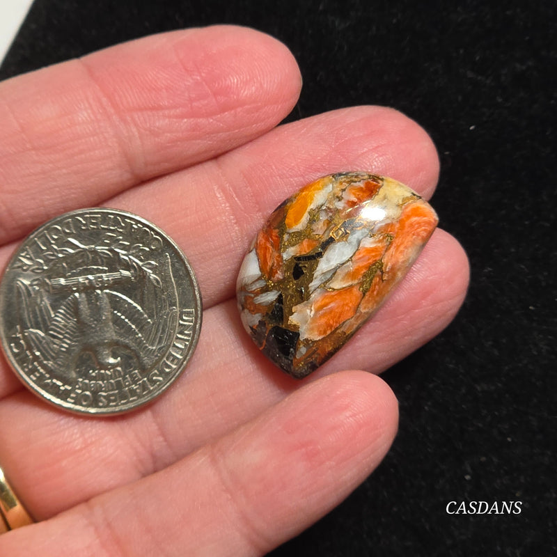 Spiny Oyster Obsidian Bronze Composite Cabochon