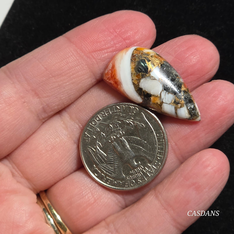 Spiny Oyster Obsidian Bronze Composite Cabochon