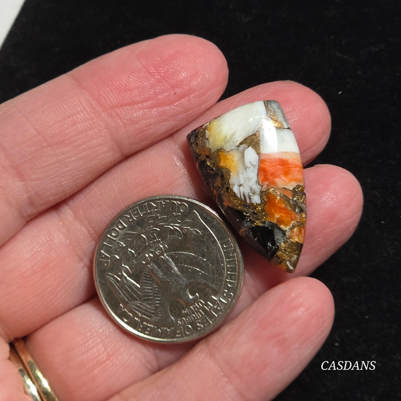 Spiny Oyster Obsidian Bronze Composite Cabochon