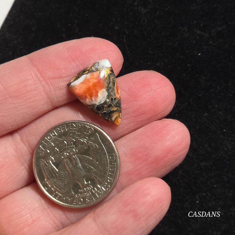 Spiny Oyster Obsidian Bronze Composite Cabochon