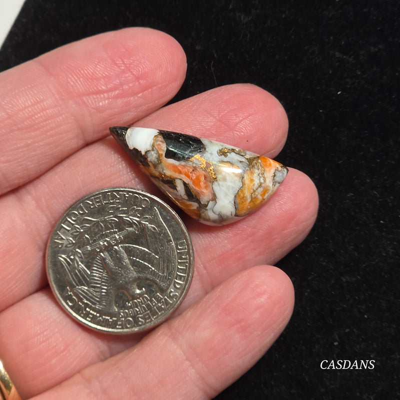 Spiny Oyster Obsidian Bronze Composite Cabochon