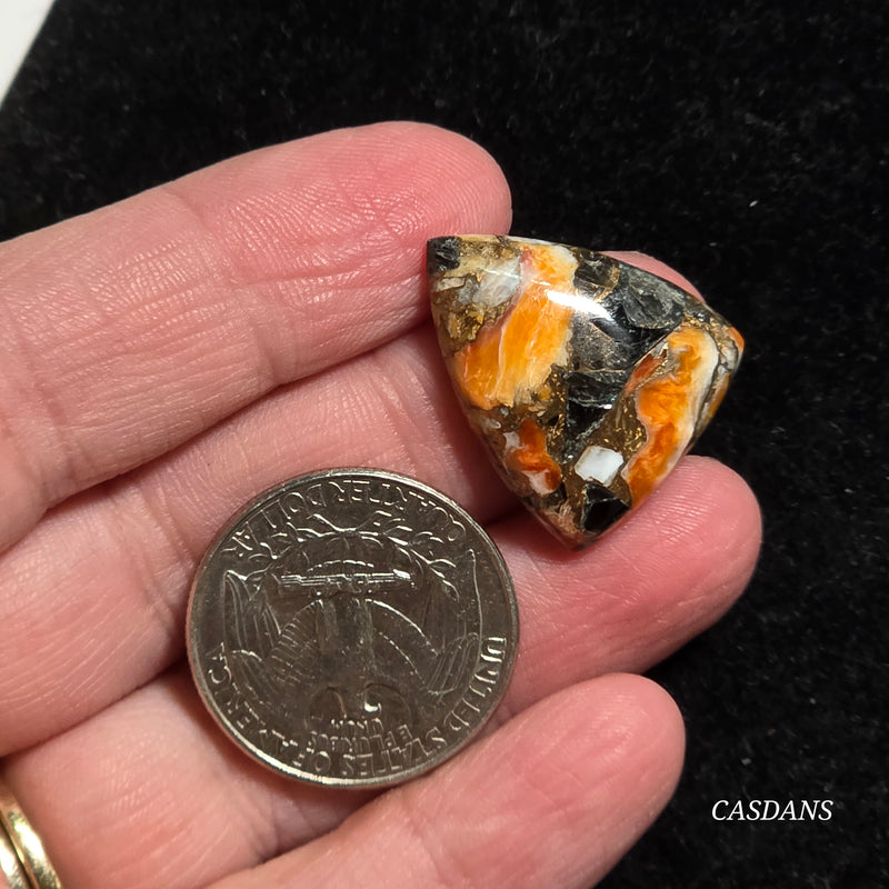Spiny Oyster Obsidian Bronze Composite Cabochon