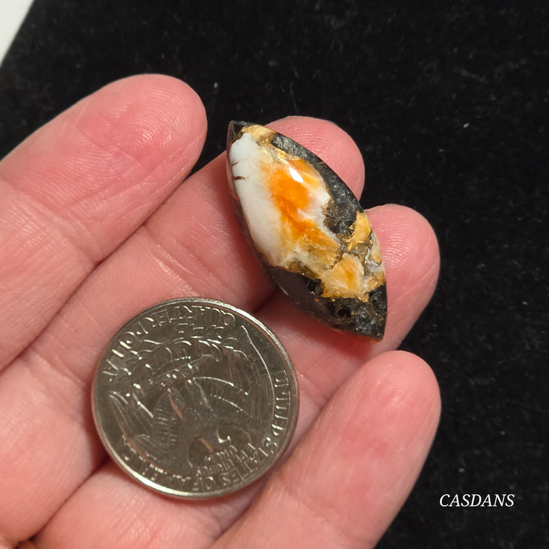 Spiny Oyster Obsidian Bronze Composite Cabochon