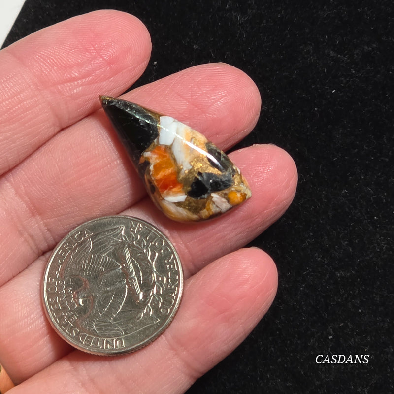 Spiny Oyster Obsidian Bronze Composite Cabochon