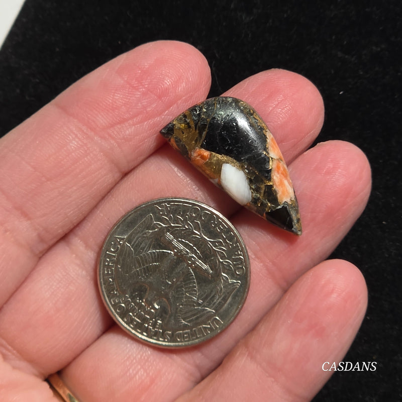 Spiny Oyster Obsidian Bronze Composite Cabochon
