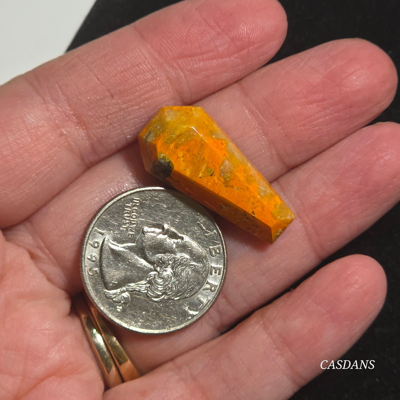 Bumblebee Jasper Coffin