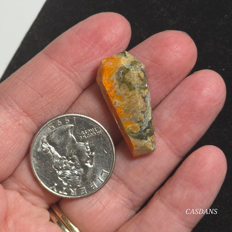 Bumblebee Jasper Coffin