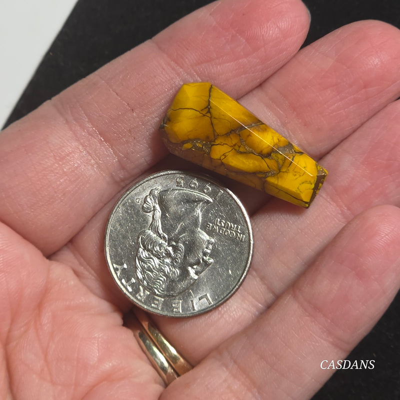 Goldenrod Composite Coffin