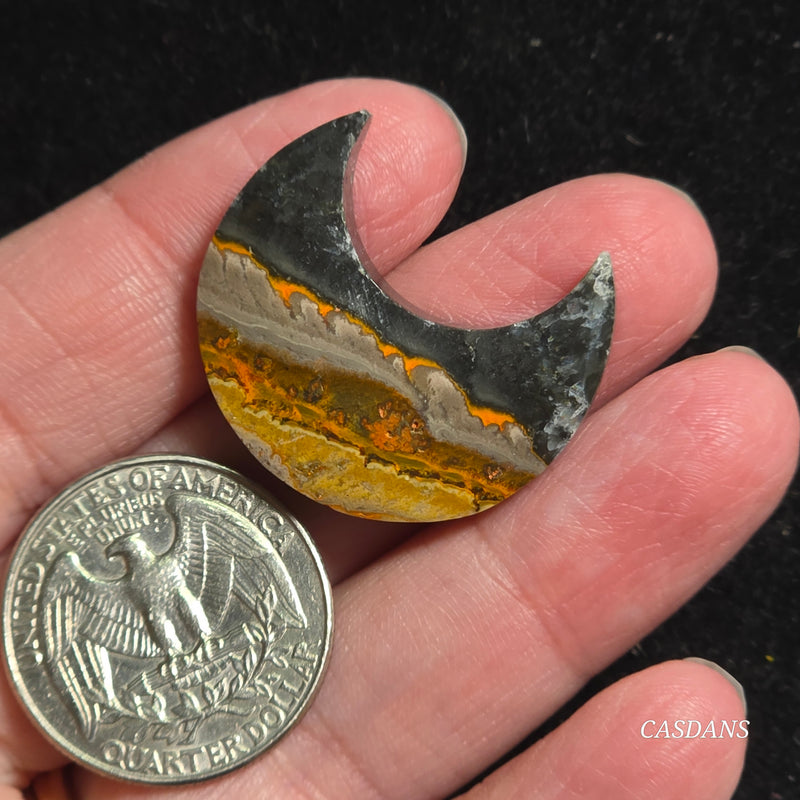Bumblebee Jasper Moon