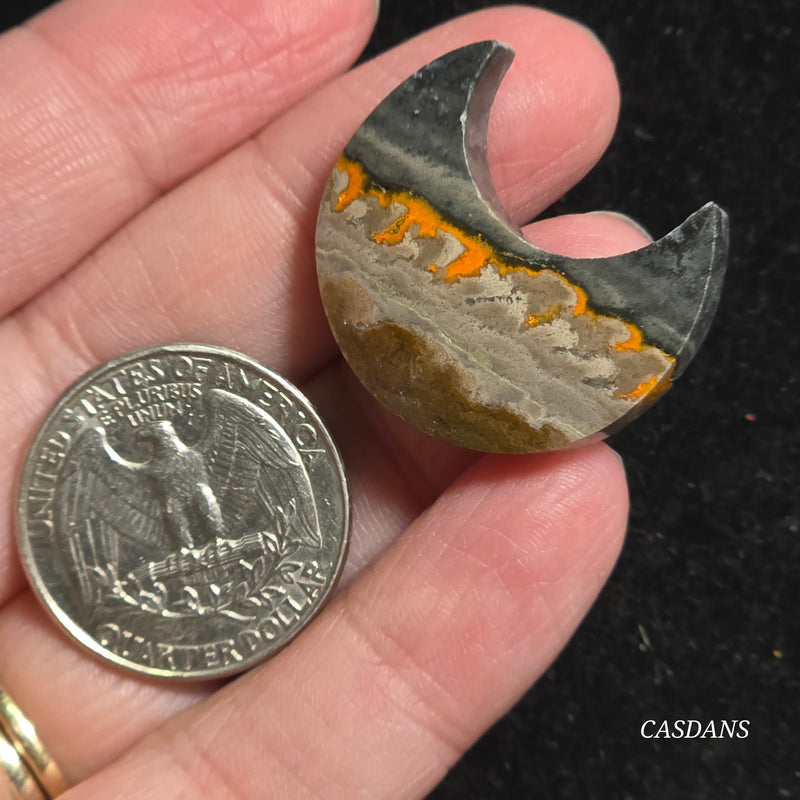 Bumblebee Jasper Moon