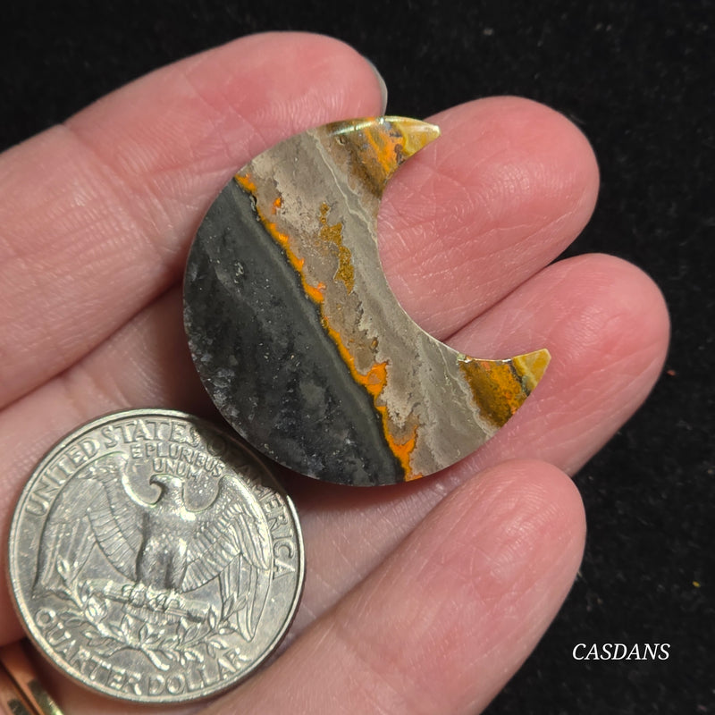 Bumblebee Jasper Moon