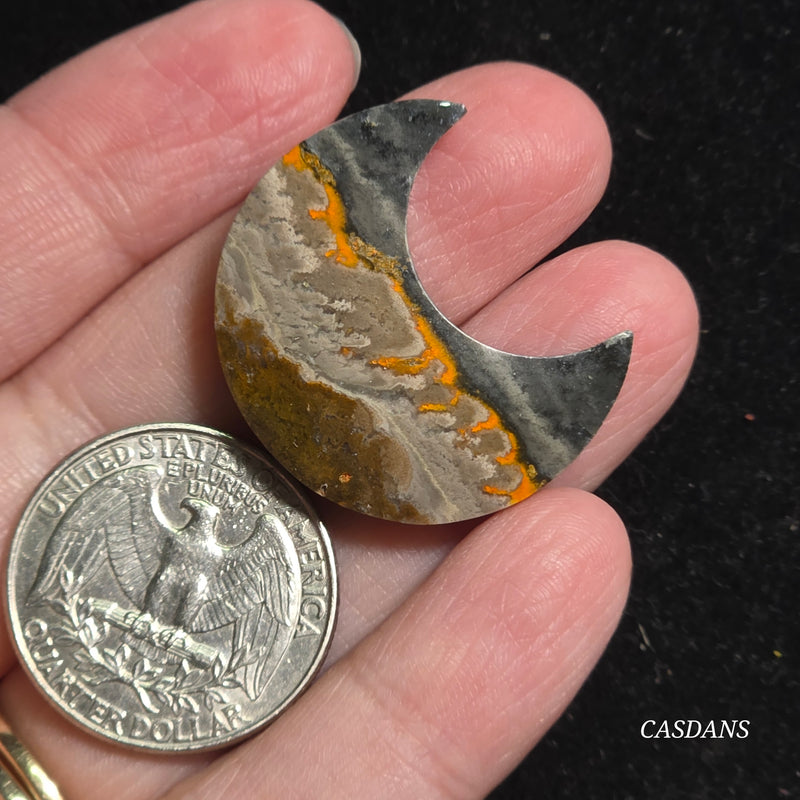 Bumblebee Jasper Moon