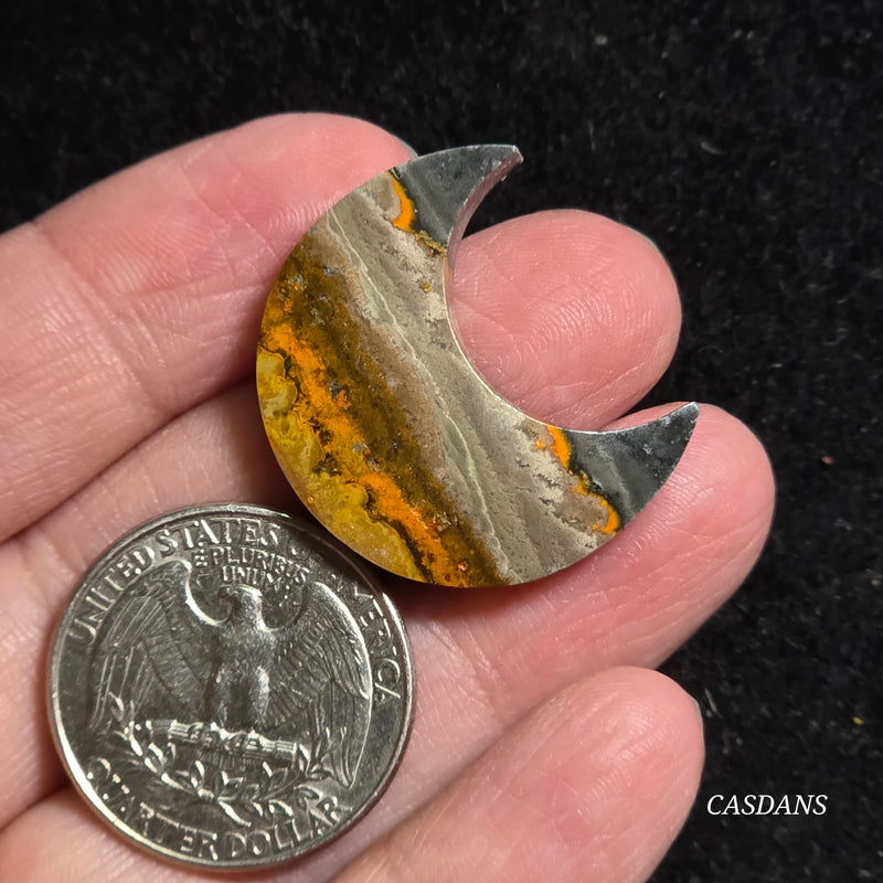 Bumblebee Jasper Moon