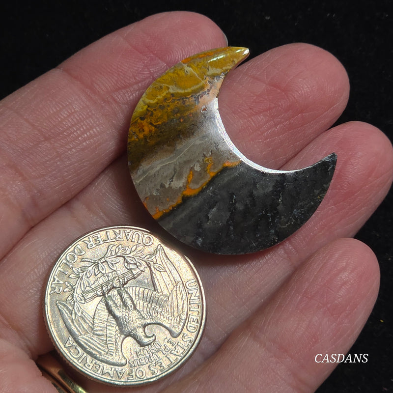 Bumblebee Jasper Moon
