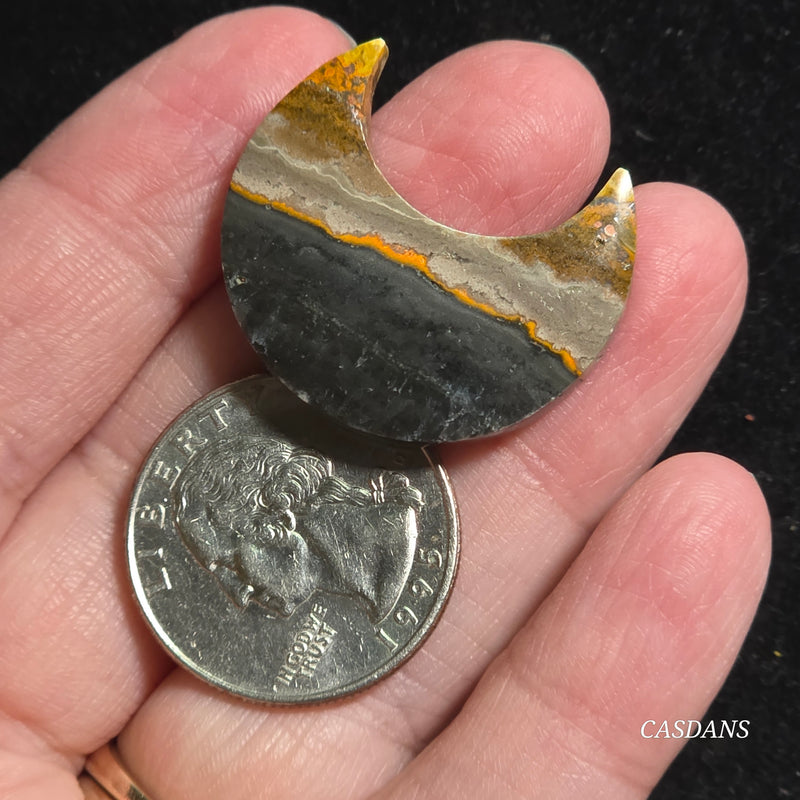 Bumblebee Jasper Moon