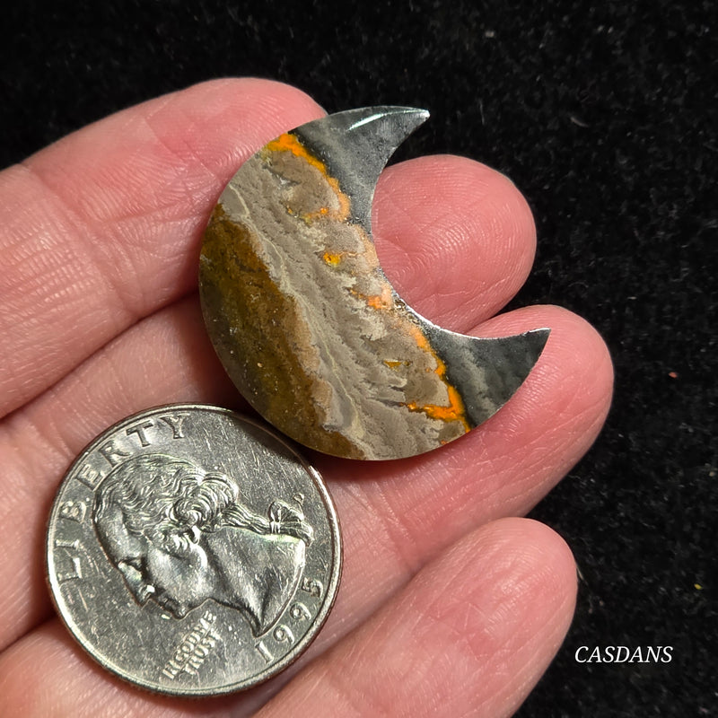 Bumblebee Jasper Moon
