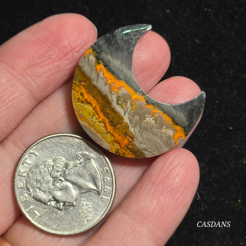 Bumblebee Jasper Moon