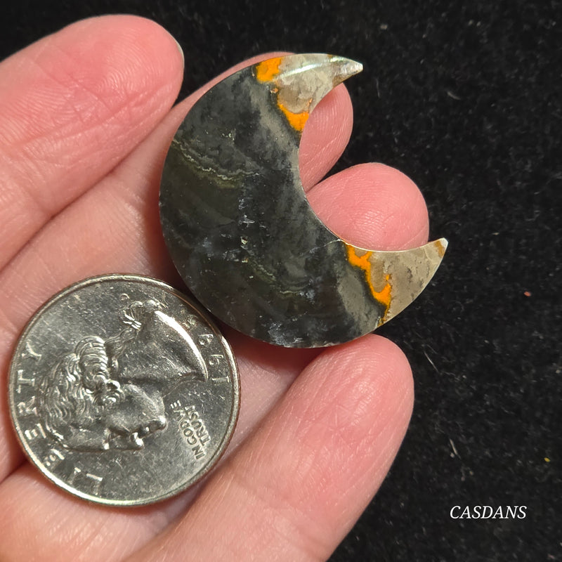 Bumblebee Jasper Moon