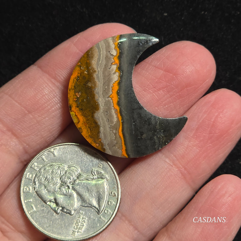 Bumblebee Jasper Moon