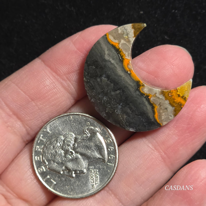 Bumblebee Jasper Moon