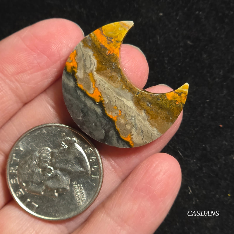 Bumblebee Jasper Moon
