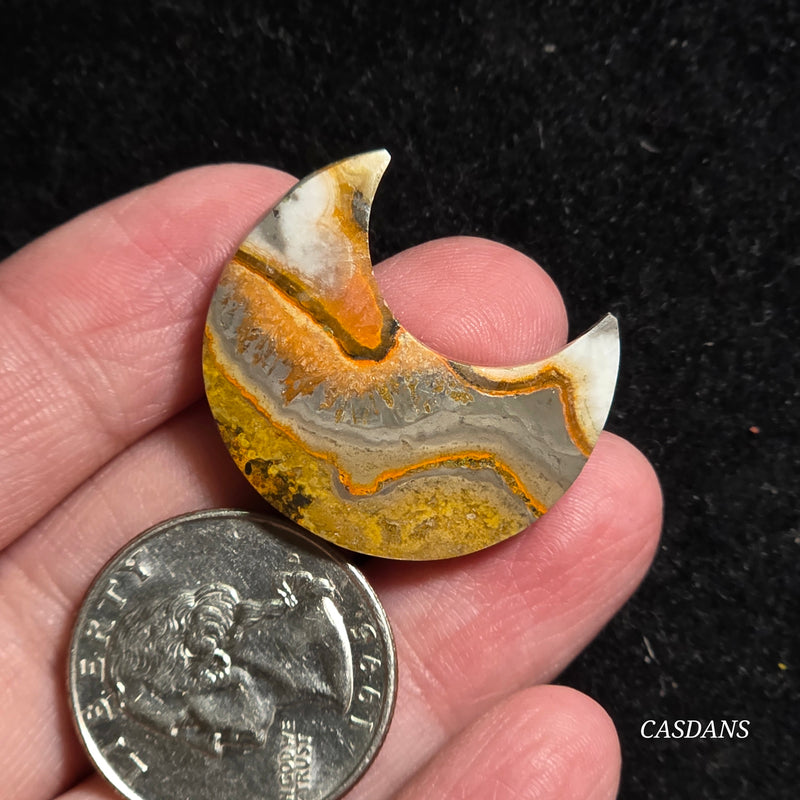 Bumblebee Jasper Moon