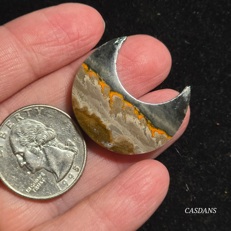 Bumblebee Jasper Moon