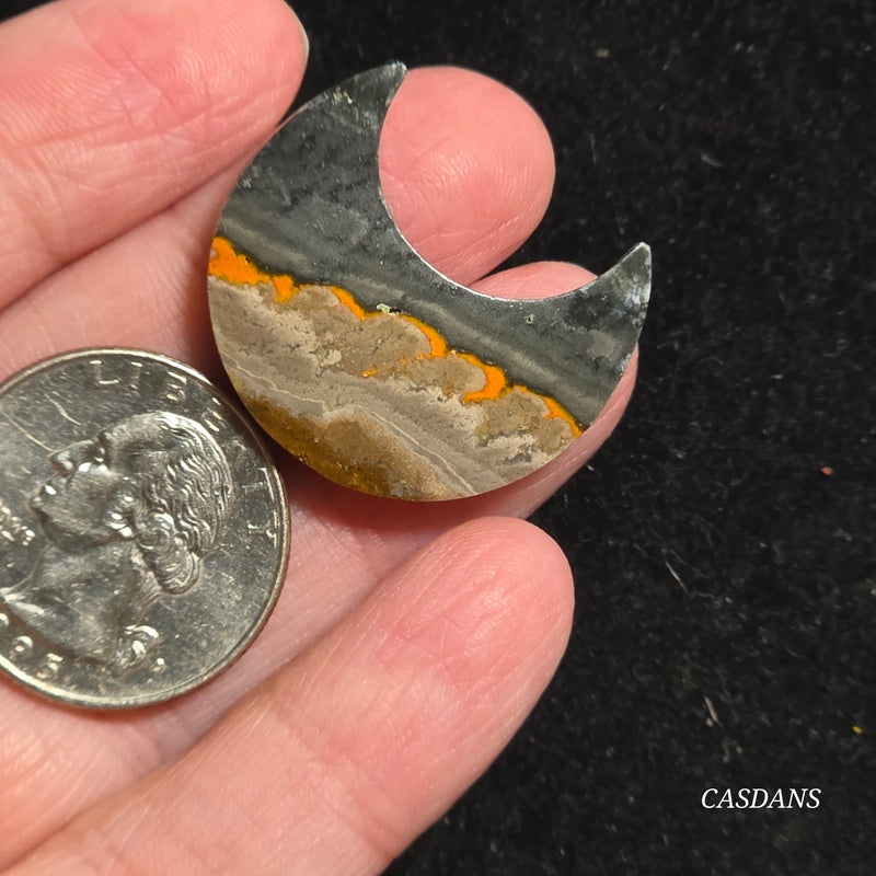Bumblebee Jasper Moon