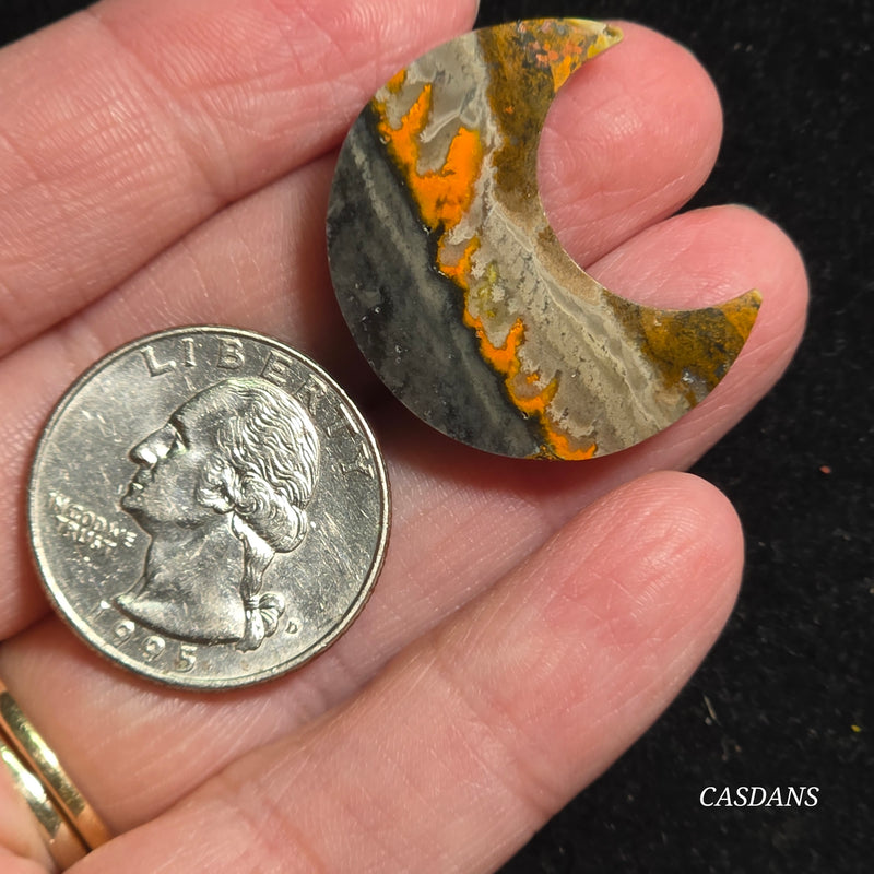 Bumblebee Jasper Moon