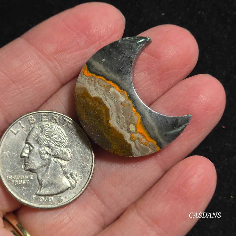 Bumblebee Jasper Moon