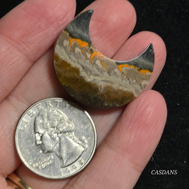 Bumblebee Jasper Moon