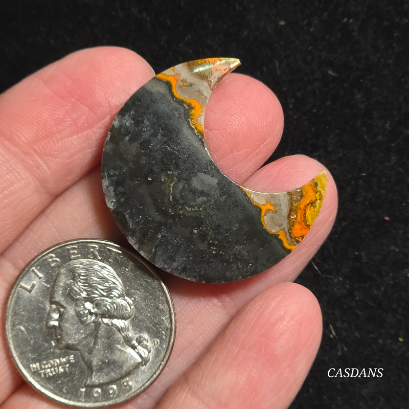 Bumblebee Jasper Moon