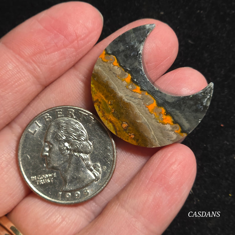 Bumblebee Jasper Moon