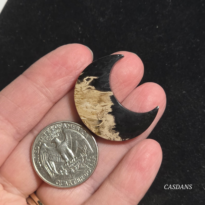 Petrified Palmroot Moon